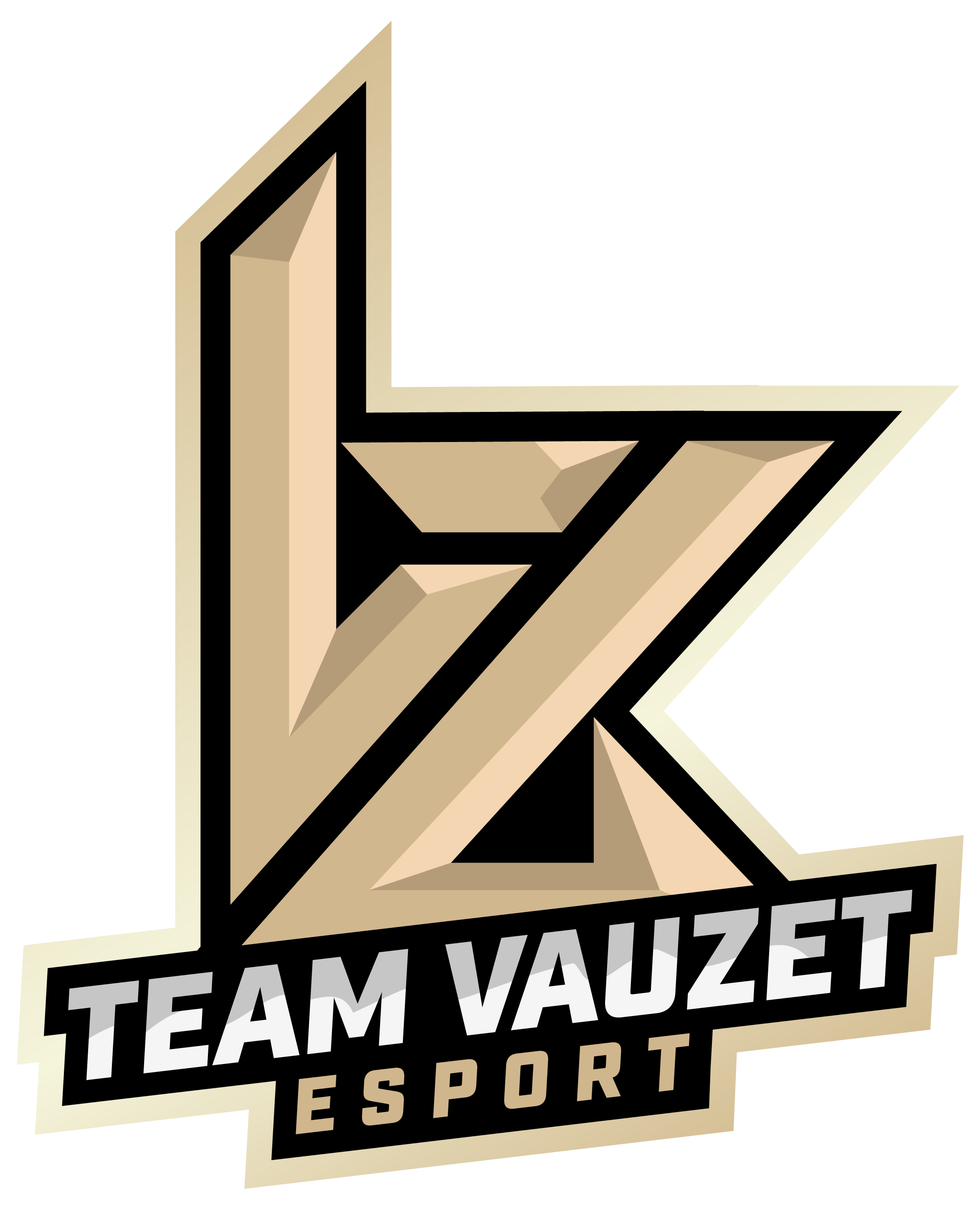 Team vZ eSport